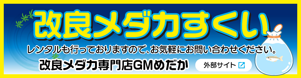 改良メダカすくい改良メダカ専門店GMめだか